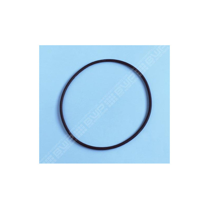 Hayward Sandfilter-Deckeldichtung